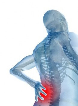 Sickness Absence Caused by Back Pain